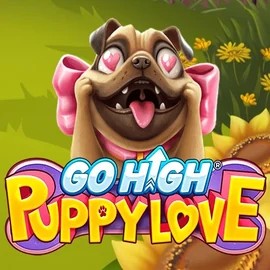 Go High Puppy Love – slot by RubyPlay, featured at daytonaspincasino.eu