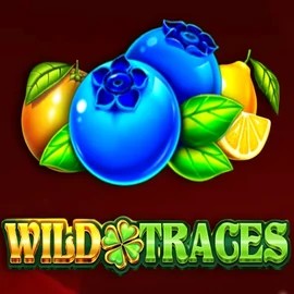 Official Slots logo: Wild Traces by Amusnet Interactive at Daytona Spin Casino